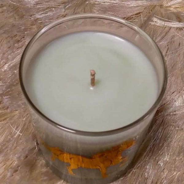 Nook and Candle Luxury Gold Stallion 9.5oz jar Cotton wick Scented Candle Tunisian Amber